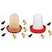 MZON FEEDER AND DRINKER (2 Units)