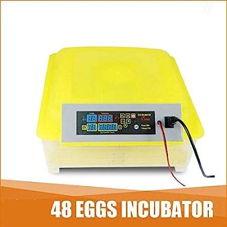 Ndeal Full-Automatic Egg Incubator | Hatcher 48 Eggs All-in-One