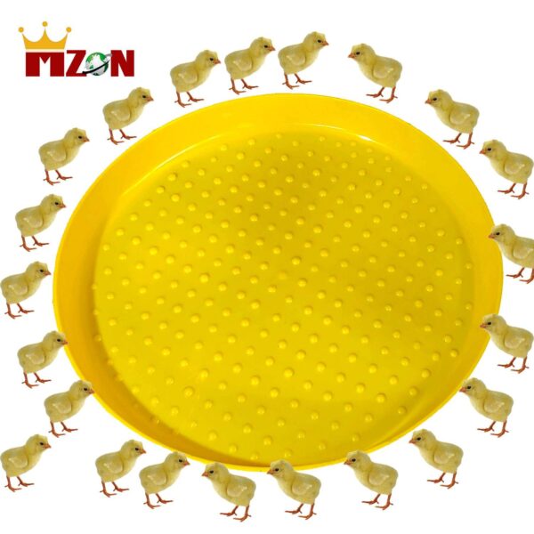 Mzon Plastic Chick Feeder Tray Round Plate Chicken Feeder (5 Units)
